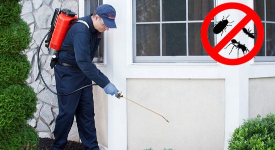 Altıeylül Dezenfeksiyon böcek ilaçlama ve haşere kontrolü — ilaclama-tr.com